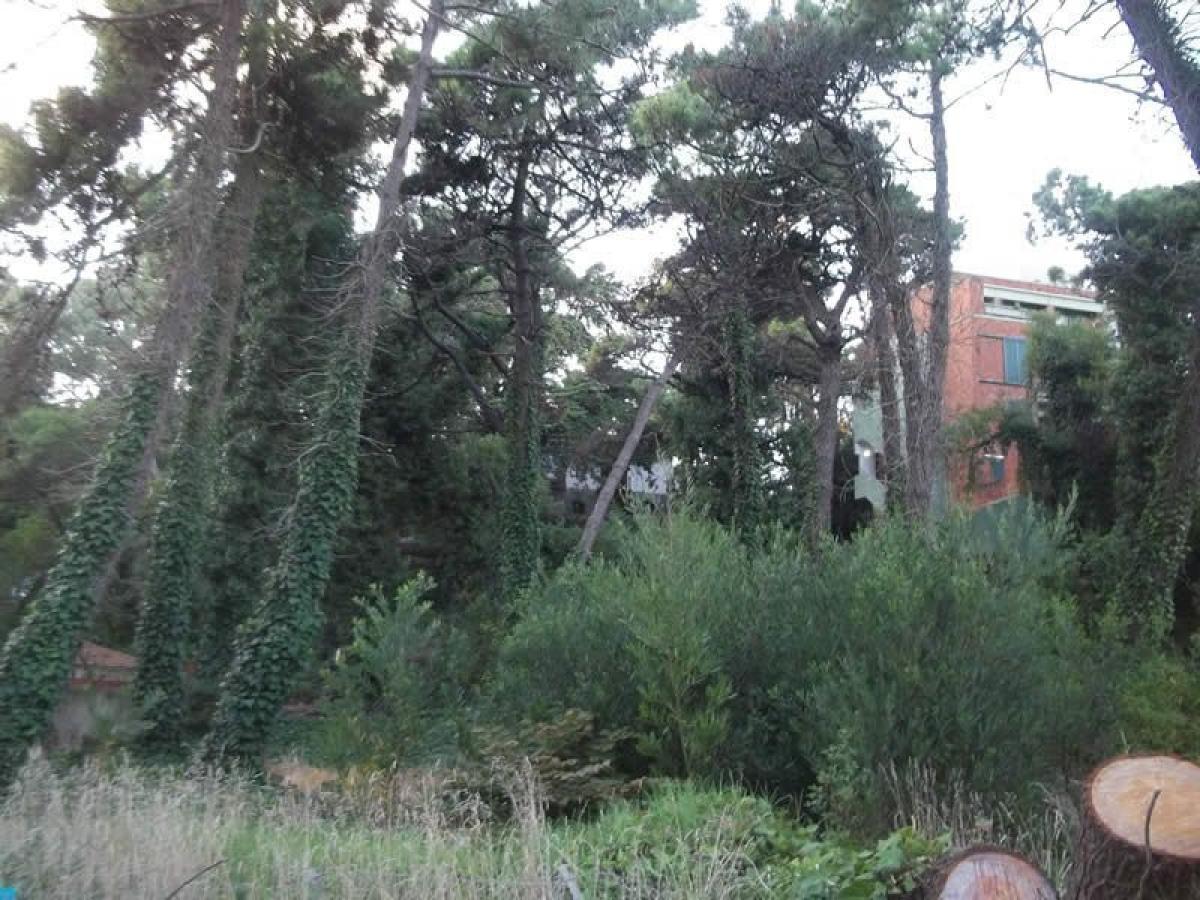  Land in Mar del Plata, Argentina No. 113799