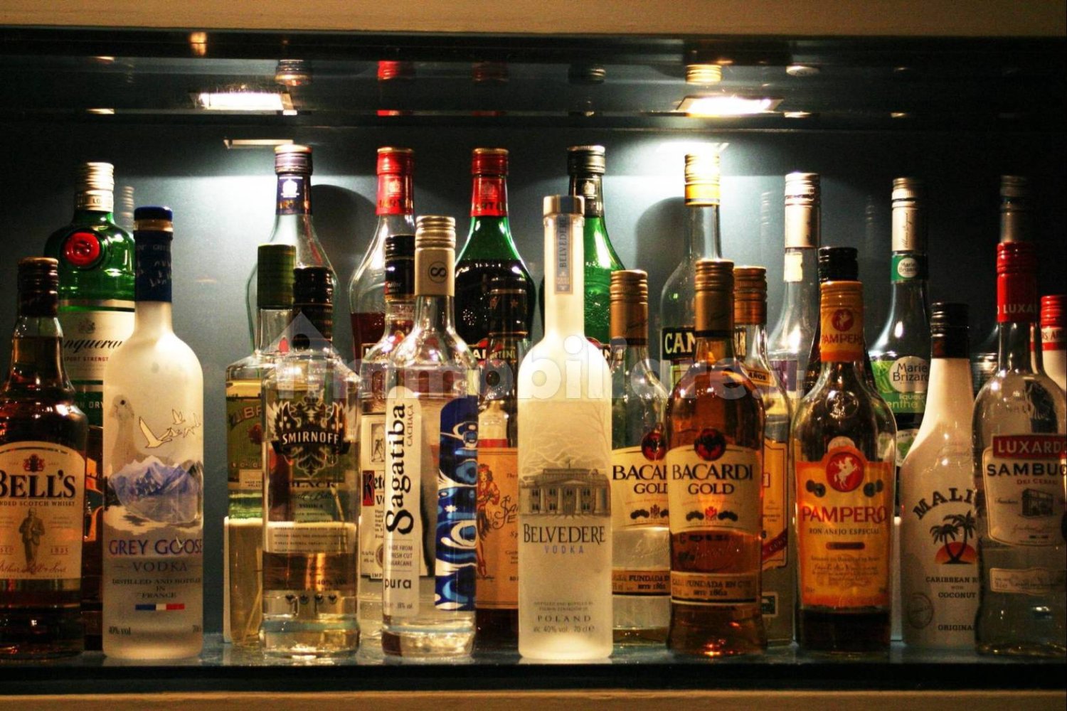 4-salle Propriété commerciale à Rome, Italy No. 202042