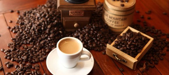 4-salle Propriété commerciale à Rome, Italy No. 202042 8