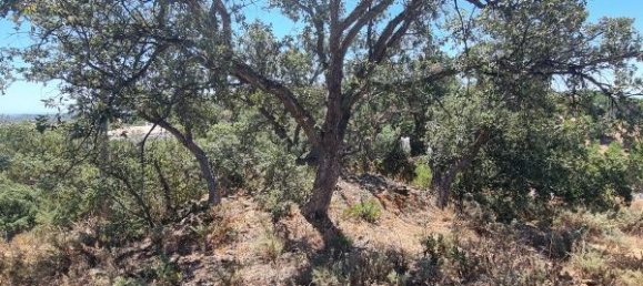 3 Schlafzimmer Haus in Santa Catarina da Fonte do Bispo, Portugal, Nr. 163929 43