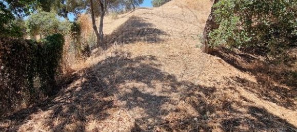 3 Schlafzimmer Haus in Santa Catarina da Fonte do Bispo, Portugal, Nr. 163929 34