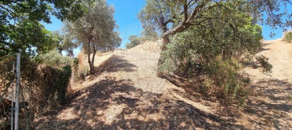 3 Schlafzimmer Haus in Santa Catarina da Fonte do Bispo, Portugal, Nr. 163929 35