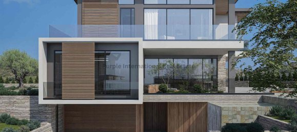 7 chambres Villa à Paphos, Cyprus No. 25749 6