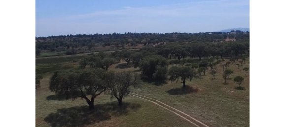 1 chambre Châteaux à Setubal, Portugal No. 110964 7