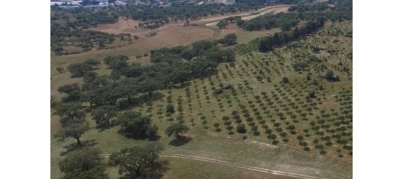 1 chambre Châteaux à Setubal, Portugal No. 110964 10