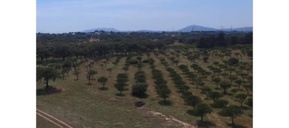 1 chambre Châteaux à Setubal, Portugal No. 110964 6