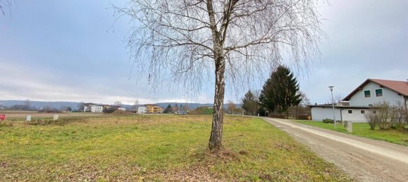  Land in Rudersdorf, Austria No. 110509 10