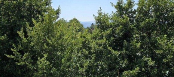 2غرفة شقة في Ternitz, Austria رقم 224998 5