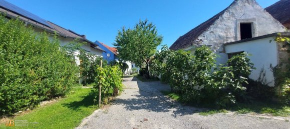 3-Zimmer Lagerhaus in Eisenstadt Umgebung, Austria, Nr. 217484 11