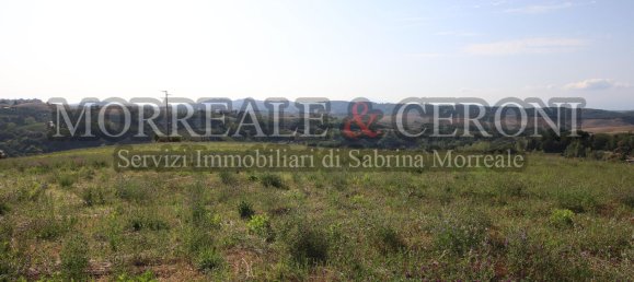 Grundstück in Montaione, Italy 29000m², Nr. 165180 2
