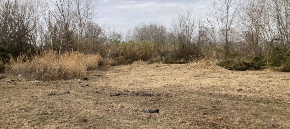 Grundstück in San Giovanni Teatino, Italy 10800m², Nr. 81565 4