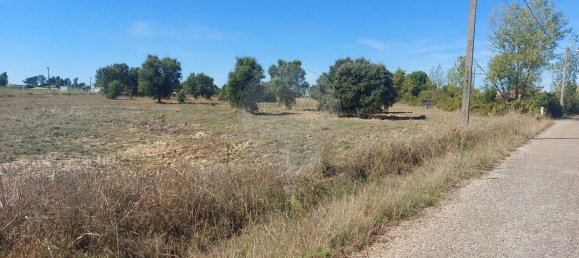 5000m² Land in Mouriscas, Portugal No. 62210 7