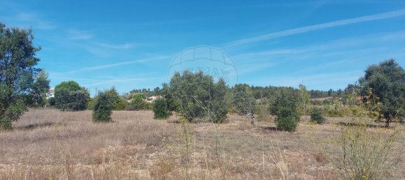 5000m² Land in Mouriscas, Portugal No. 62210 9