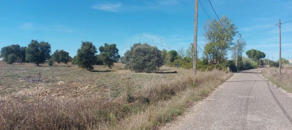 5000m² Land in Mouriscas, Portugal No. 62210 8