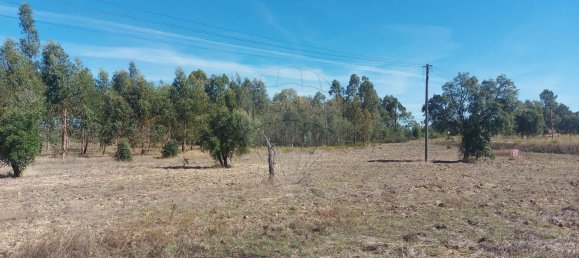 5000m² Land in Mouriscas, Portugal No. 62210 3