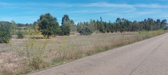 5000m² Land in Mouriscas, Portugal No. 62210 6