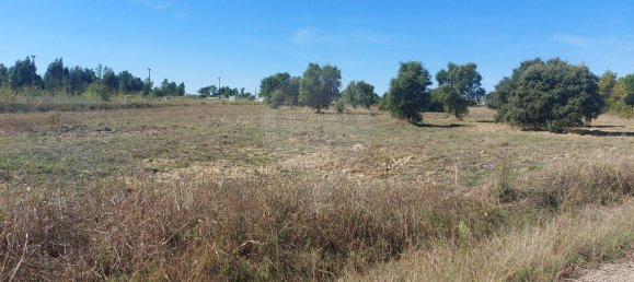 5000m² Land in Mouriscas, Portugal No. 62210 4