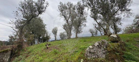 2 bedrooms House in Baiao, Portugal No. 168844 6