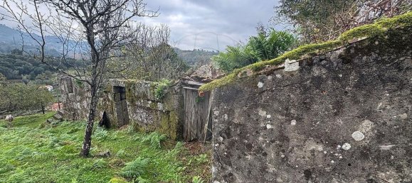 2 bedrooms House in Baiao, Portugal No. 168844 5