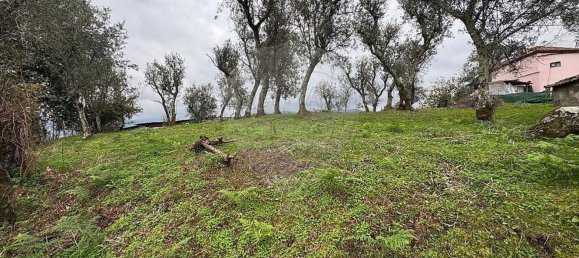 2 bedrooms House in Baiao, Portugal No. 168844 7