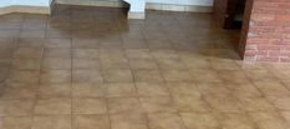 1 bedroom House in Occitanie, France No. 282772 7