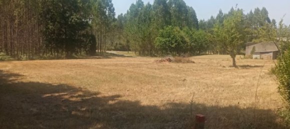 Terreno en O Pino, Spain 5000 m² No. 171989 7