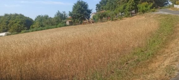 Terreno en O Pino, Spain 5000 m² No. 171989 3