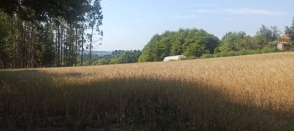 Terreno en O Pino, Spain 5000 m² No. 171989 5