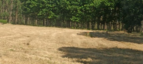 Terreno en O Pino, Spain 5000 m² No. 171989 4