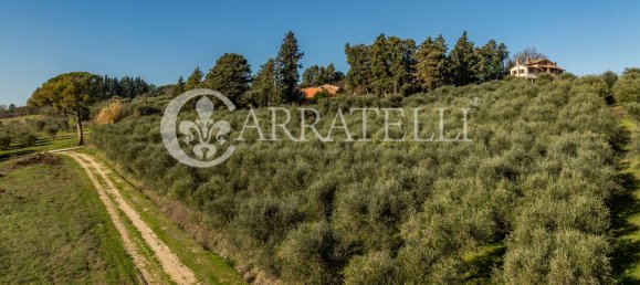 20 rooms House in Castiglione del Lago, Italy No. 46321 24