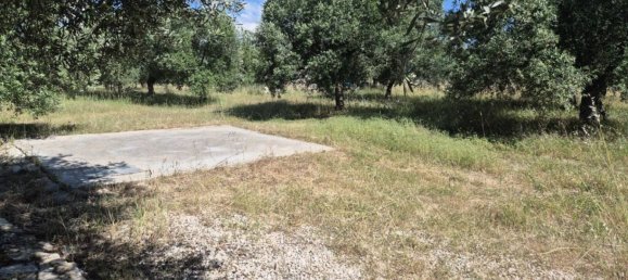 1 bedroom House in Andria, Italy No. 291258 13