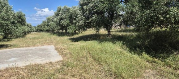 1 bedroom House in Andria, Italy No. 291258 11