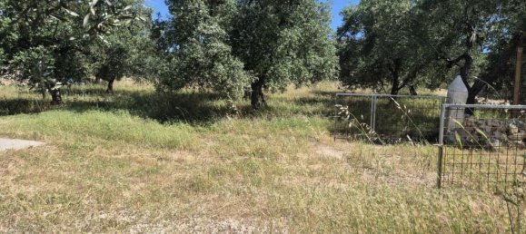 1 bedroom House in Andria, Italy No. 291258 15