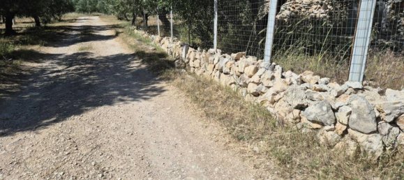 1 bedroom House in Andria, Italy No. 291258 12