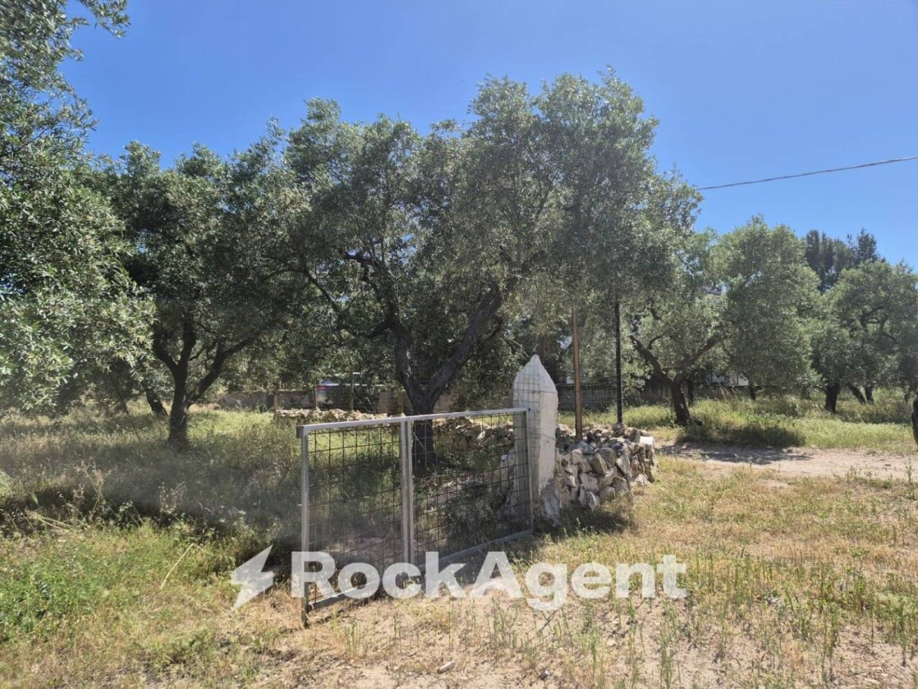 1 bedroom House in Andria, Italy No. 291258