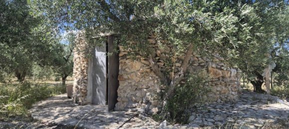 1 bedroom House in Andria, Italy No. 291258 14