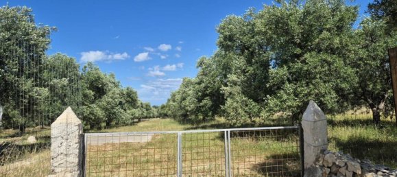 1 bedroom House in Andria, Italy No. 291258 8