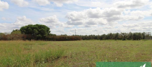 Terrain à Mesagne, Italy 5496m² No. 82073 2