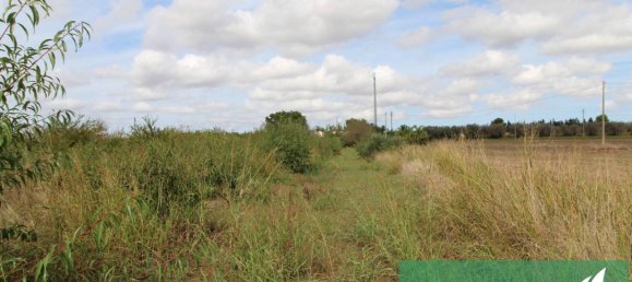 Terrain à Mesagne, Italy 5496m² No. 82073 3