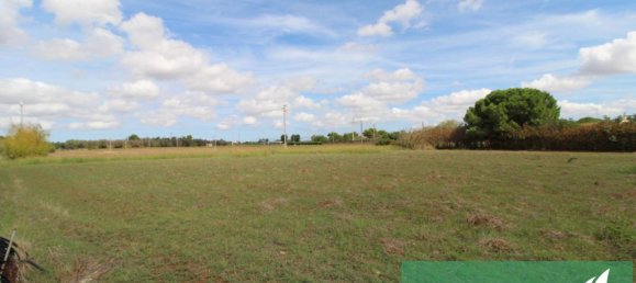 Terrain à Mesagne, Italy 5496m² No. 82073 5