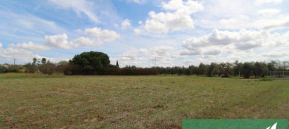 Terrain à Mesagne, Italy 5496m² No. 82073 4