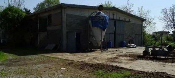 5 rooms House in Polesine Zibello, Italy No. 304303 29