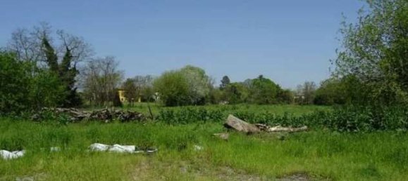 5 rooms House in Polesine Zibello, Italy No. 304303 36