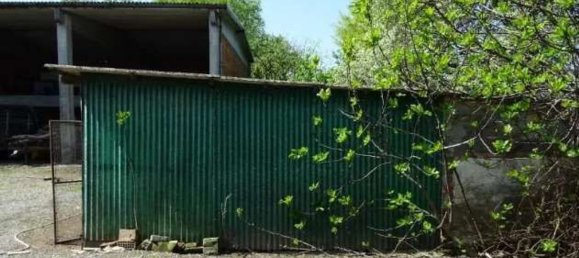 5 rooms House in Polesine Zibello, Italy No. 304303 37