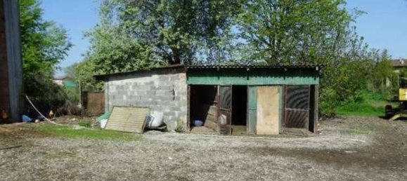 5 rooms House in Polesine Zibello, Italy No. 304303 5