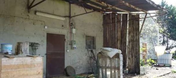 5 rooms House in Polesine Zibello, Italy No. 304303 6