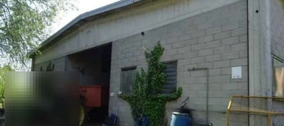 5 rooms House in Polesine Zibello, Italy No. 304303 24