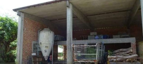 5 rooms House in Polesine Zibello, Italy No. 304303 13