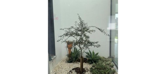 4 bedrooms House in Beja, Portugal No. 141536 11