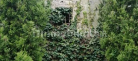 1 room Warehouse in Udine, Italy No. 371823 4